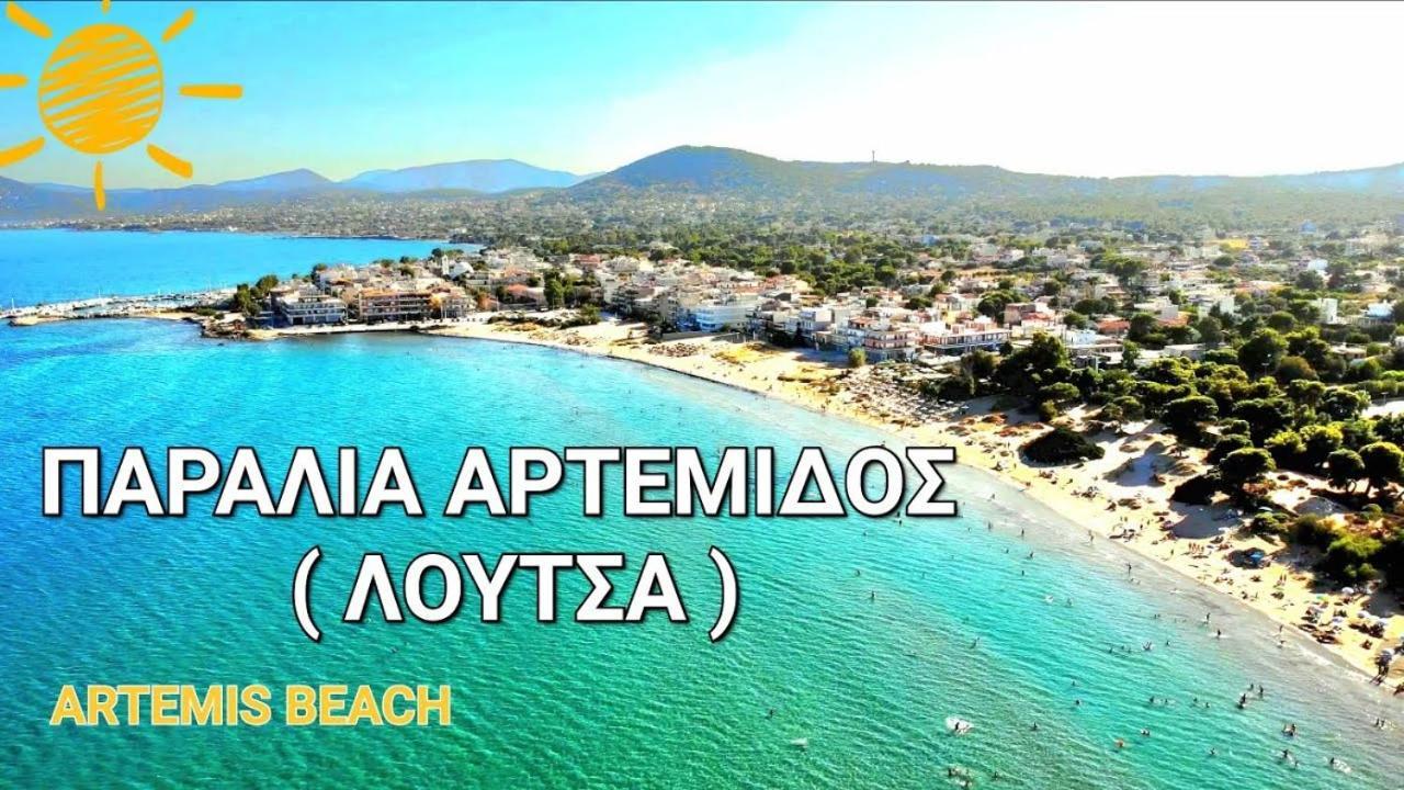 הוילה ארטמידה Felina House מראה חיצוני תמונה